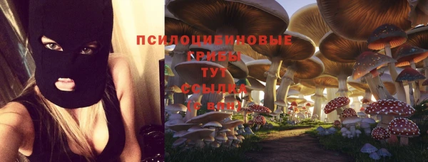 индика Абдулино